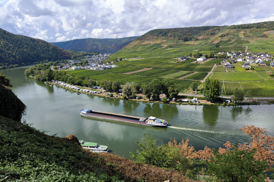 Fotoeindrücke vom Ausflug an die Mosel