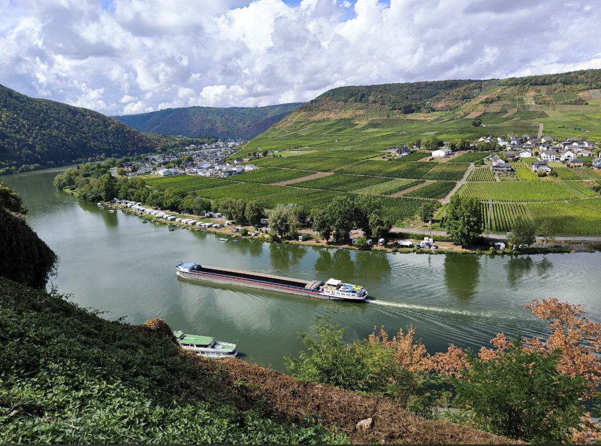 Fotoeindrücke vom Ausflug an die Mosel